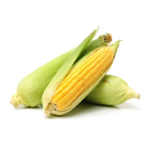 BHUTTA