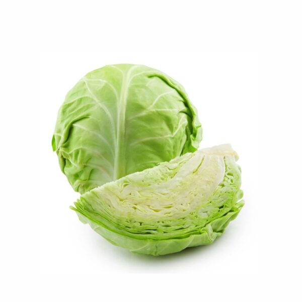 CABBAGE