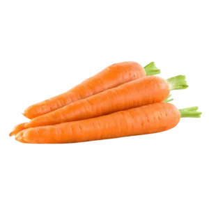 CARROT