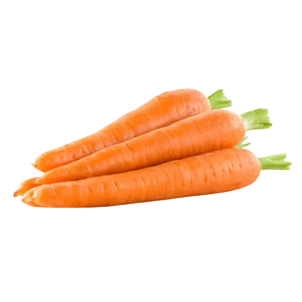 CARROT