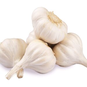 GARLIC