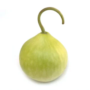 KADDU