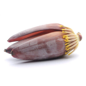 KELA PHUL