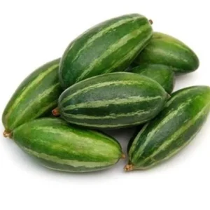 PATAL