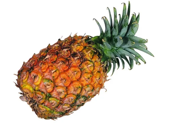 PINEAPPLE